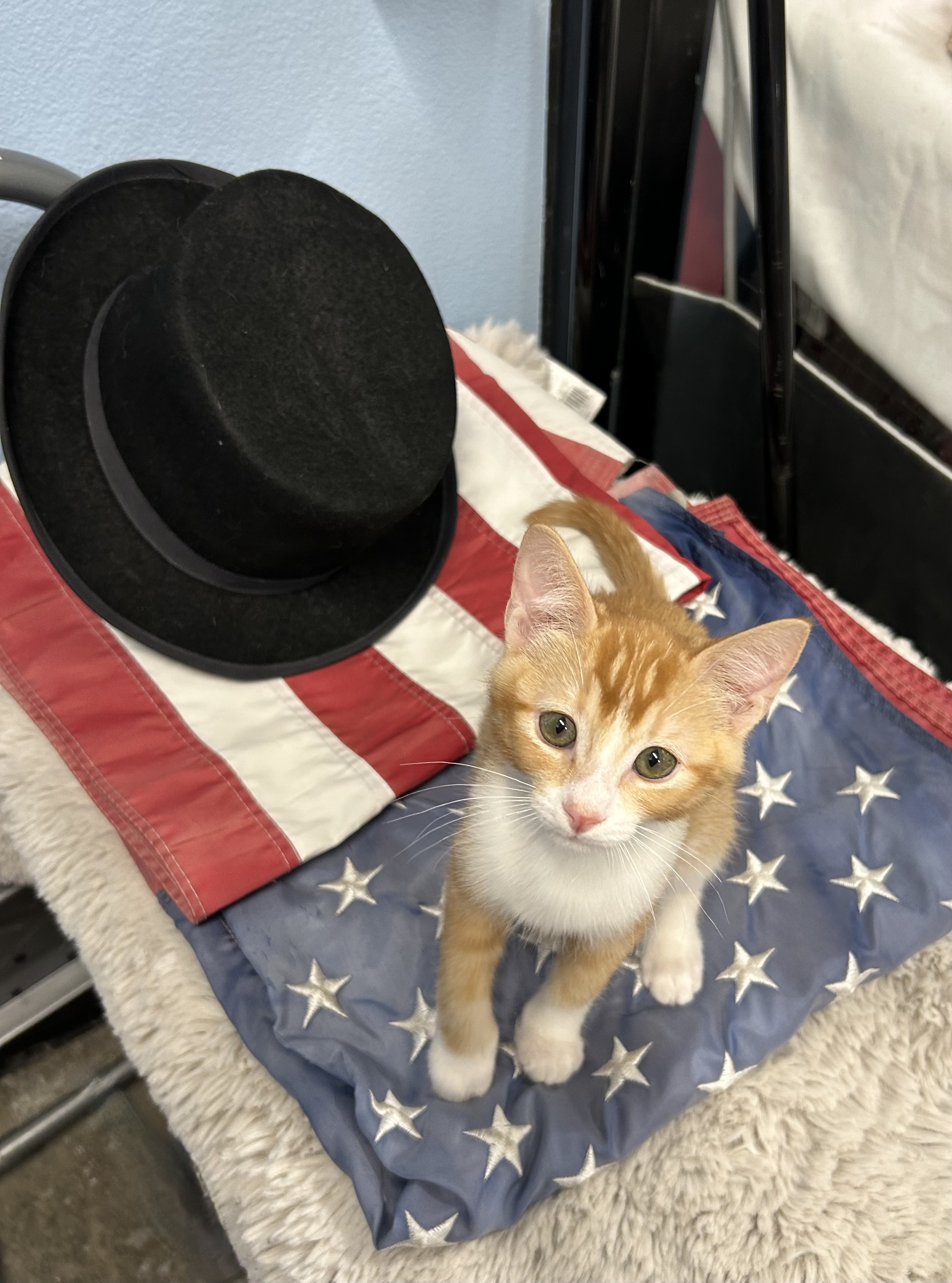 Lincoln